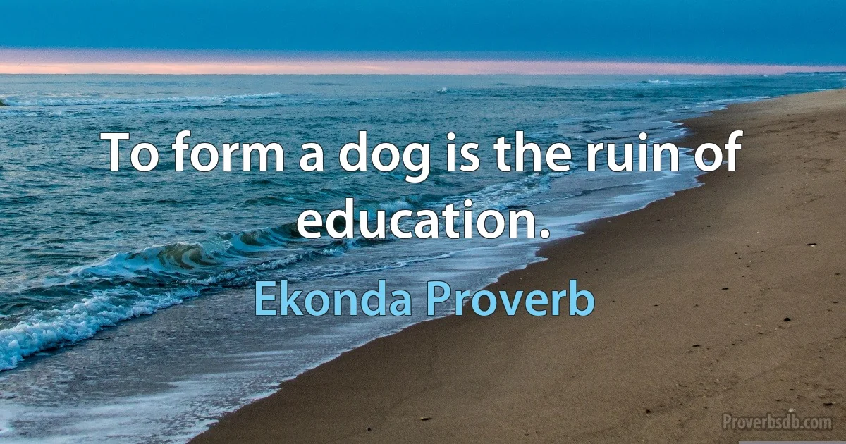 To form a dog is the ruin of education. (Ekonda Proverb)