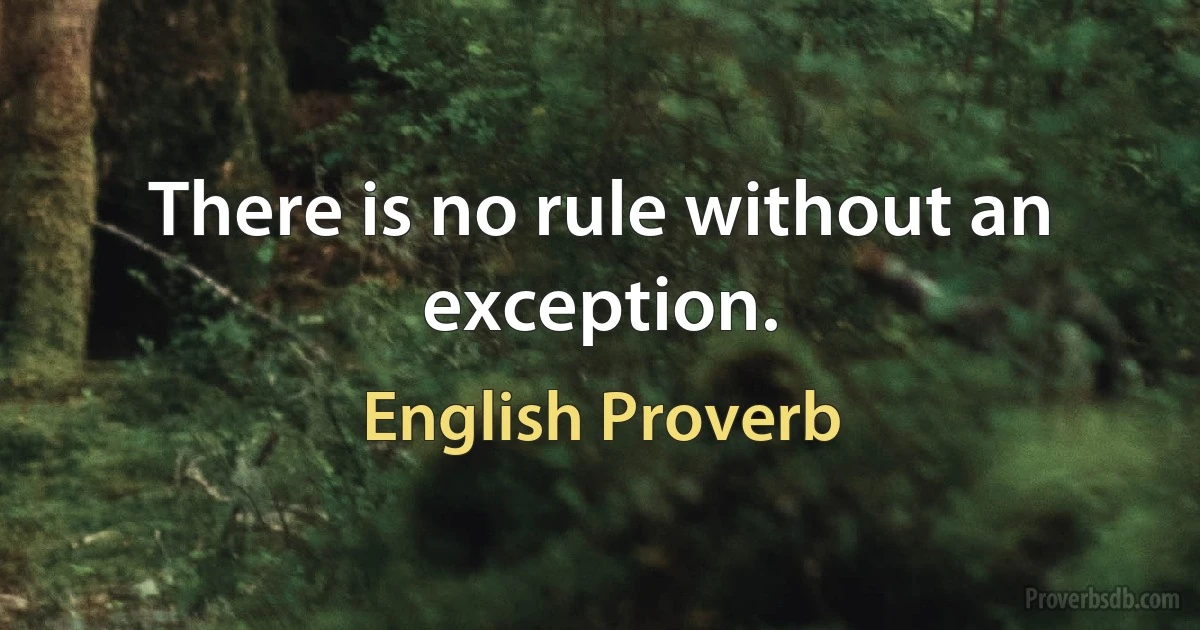 There is no rule without an exception. (English Proverb)