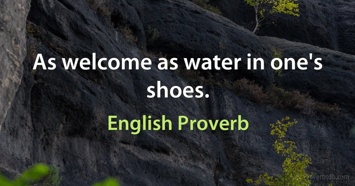 As welcome as water in one's shoes. (English Proverb)