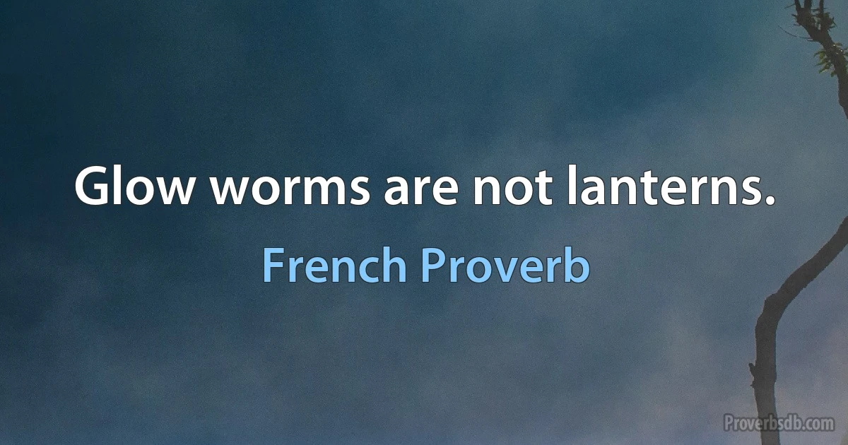 Glow worms are not lanterns. (French Proverb)