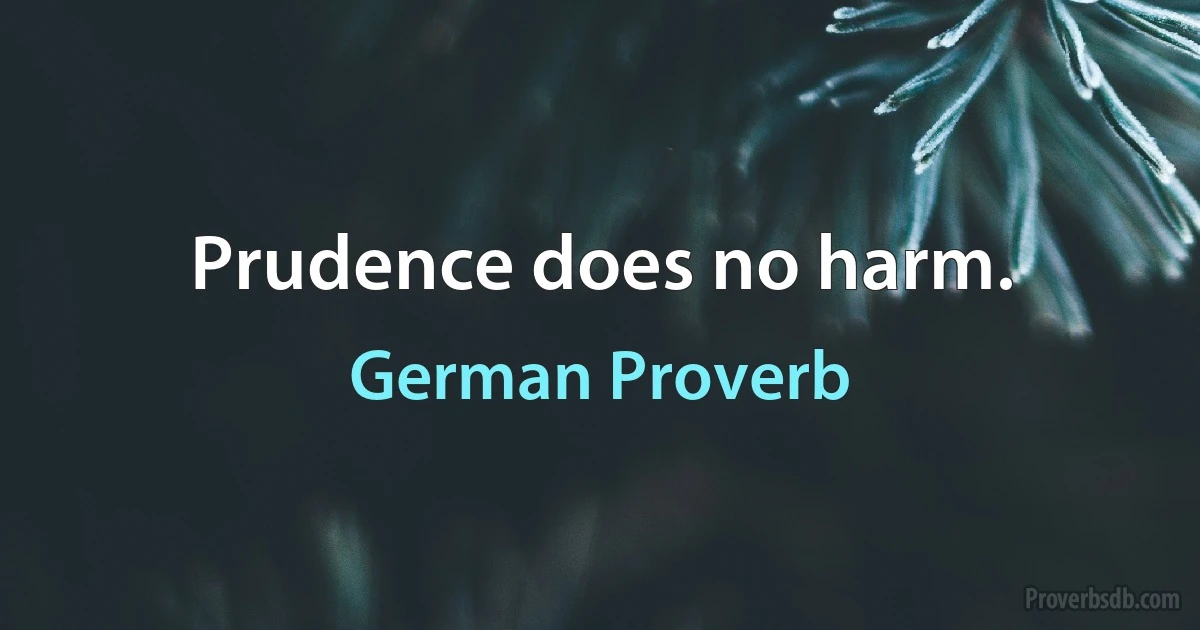 Prudence does no harm. (German Proverb)