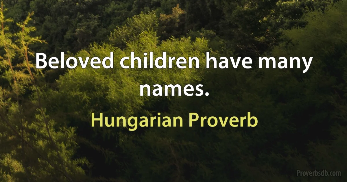 Beloved children have many names. (Hungarian Proverb)