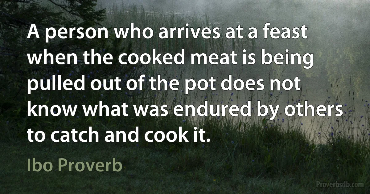 A person who arrives at a feast when the cooked meat is being pulled out of the pot does not know what was endured by others to catch and cook it. (Ibo Proverb)