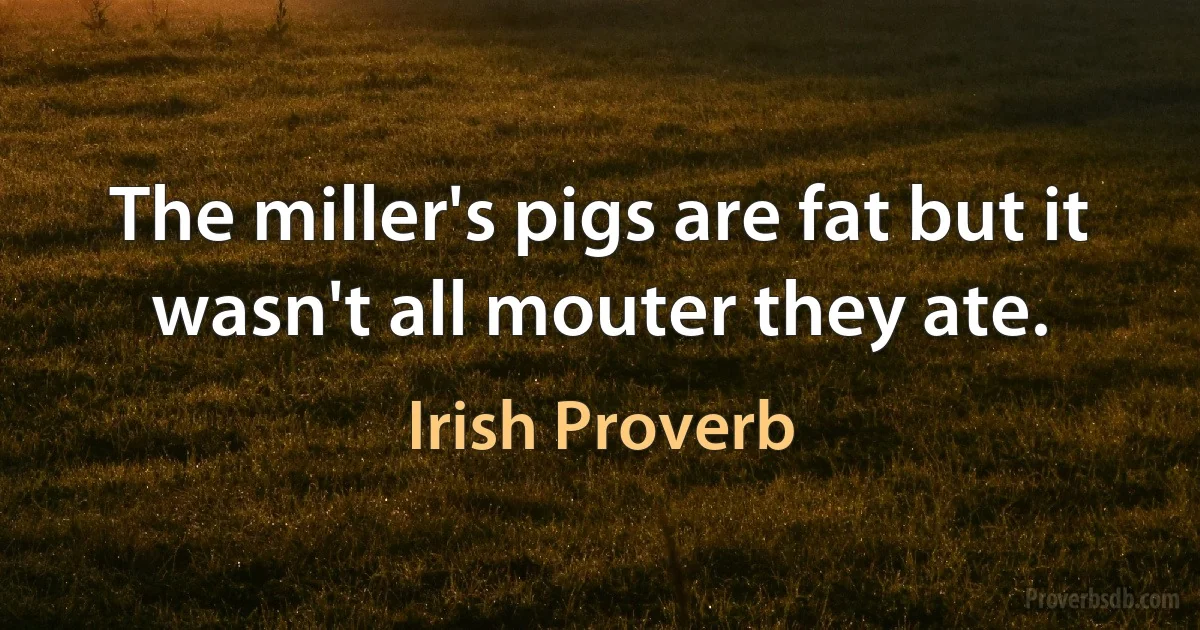 The miller's pigs are fat but it wasn't all mouter they ate. (Irish Proverb)