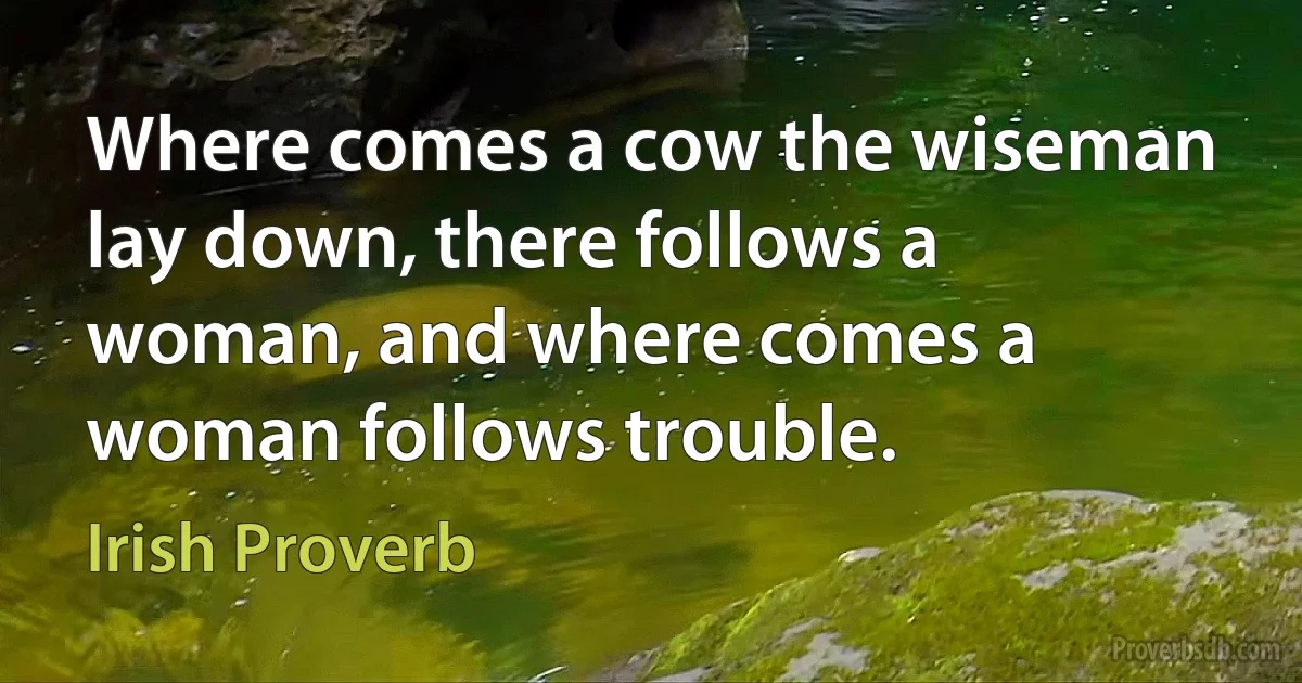 Where comes a cow the wiseman lay down, there follows a woman, and where comes a woman follows trouble. (Irish Proverb)