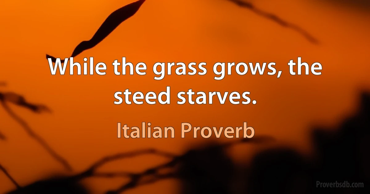 While the grass grows, the steed starves. (Italian Proverb)