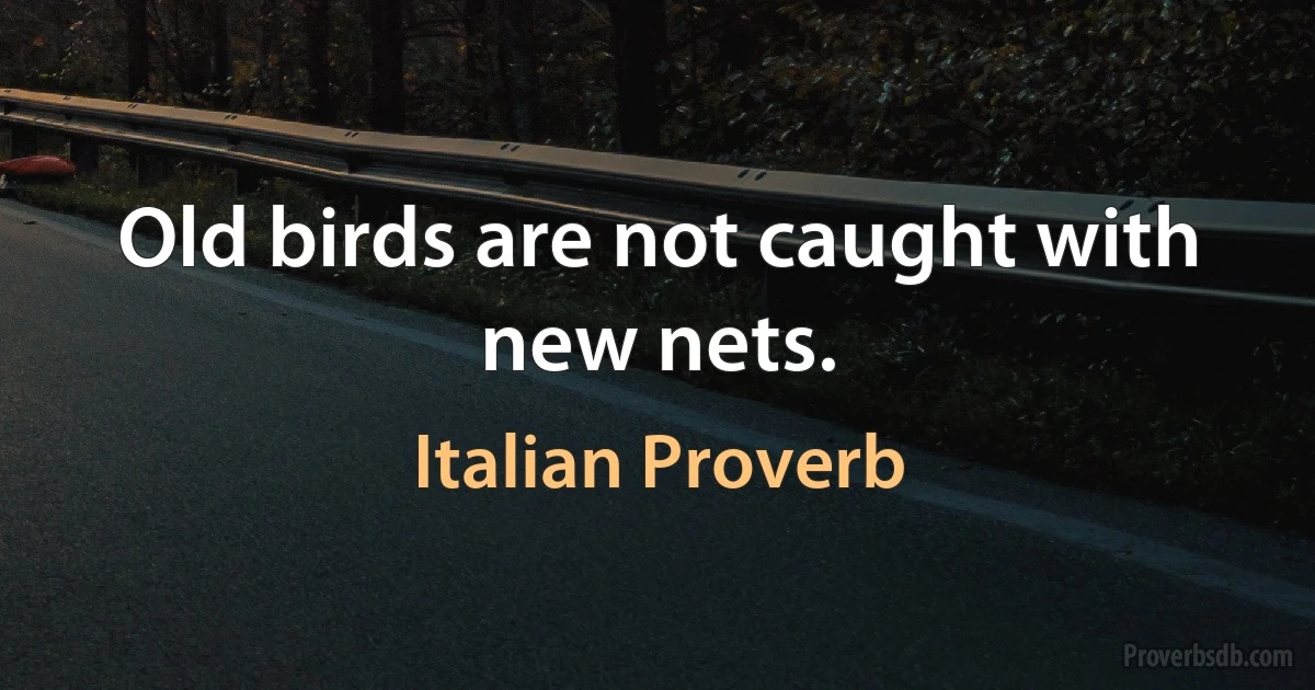 Old birds are not caught with new nets. (Italian Proverb)