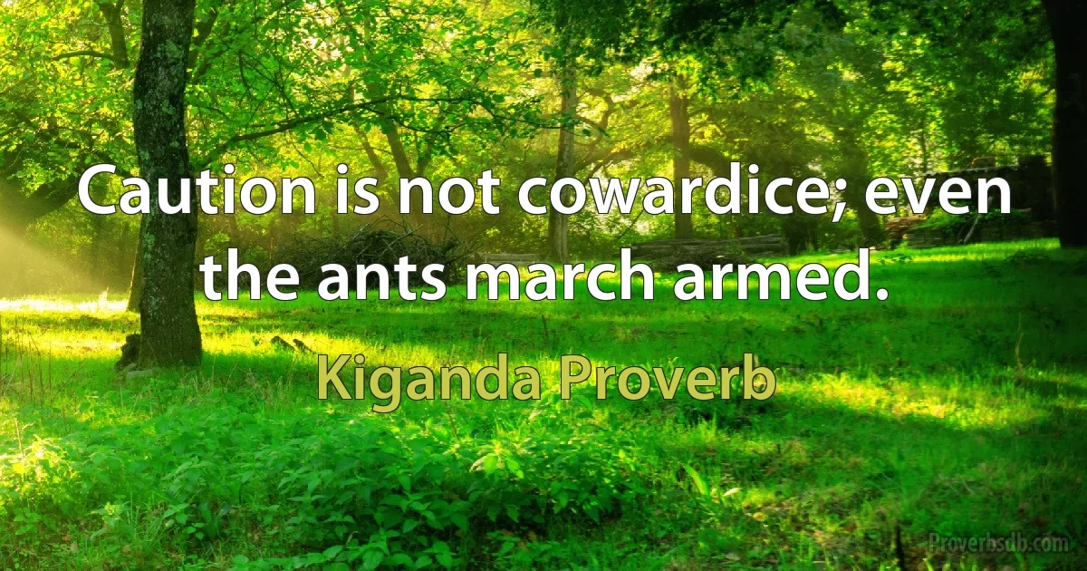 Caution is not cowardice; even the ants march armed. (Kiganda Proverb)