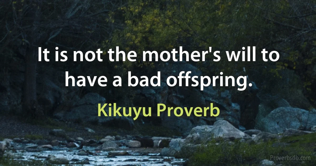 It is not the mother's will to have a bad offspring. (Kikuyu Proverb)