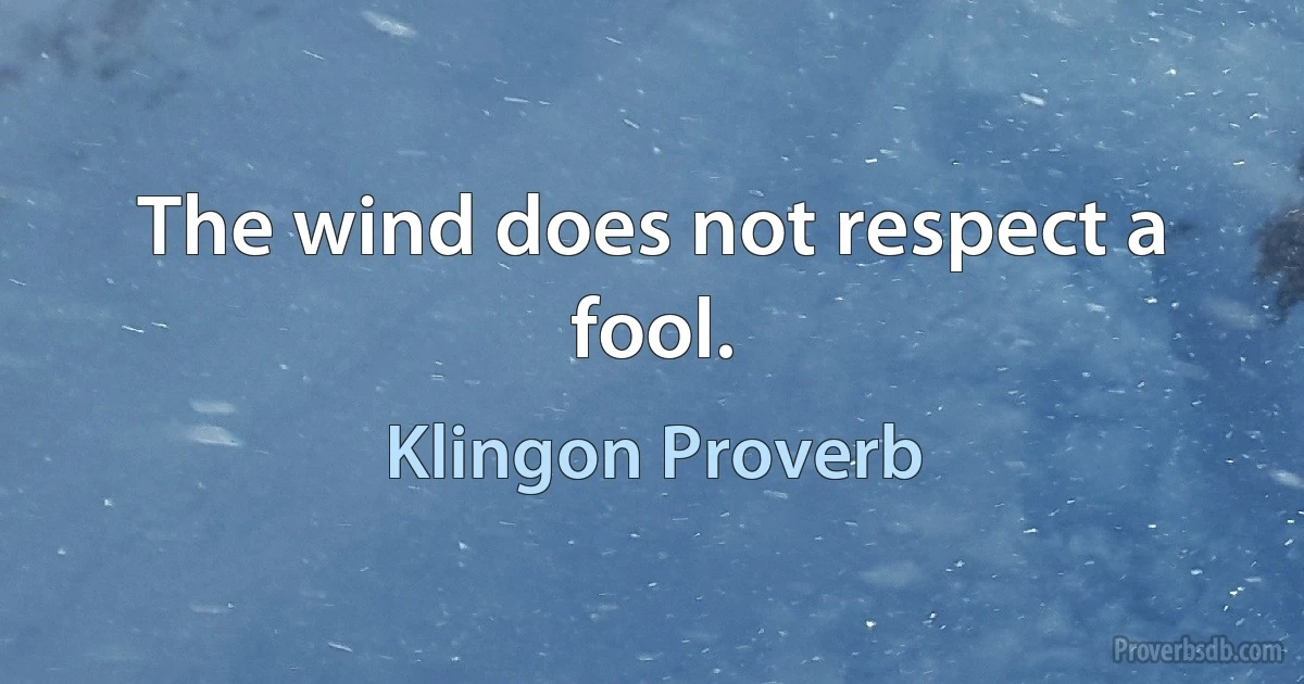 The wind does not respect a fool. (Klingon Proverb)