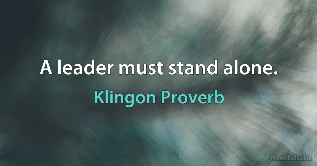 A leader must stand alone. (Klingon Proverb)