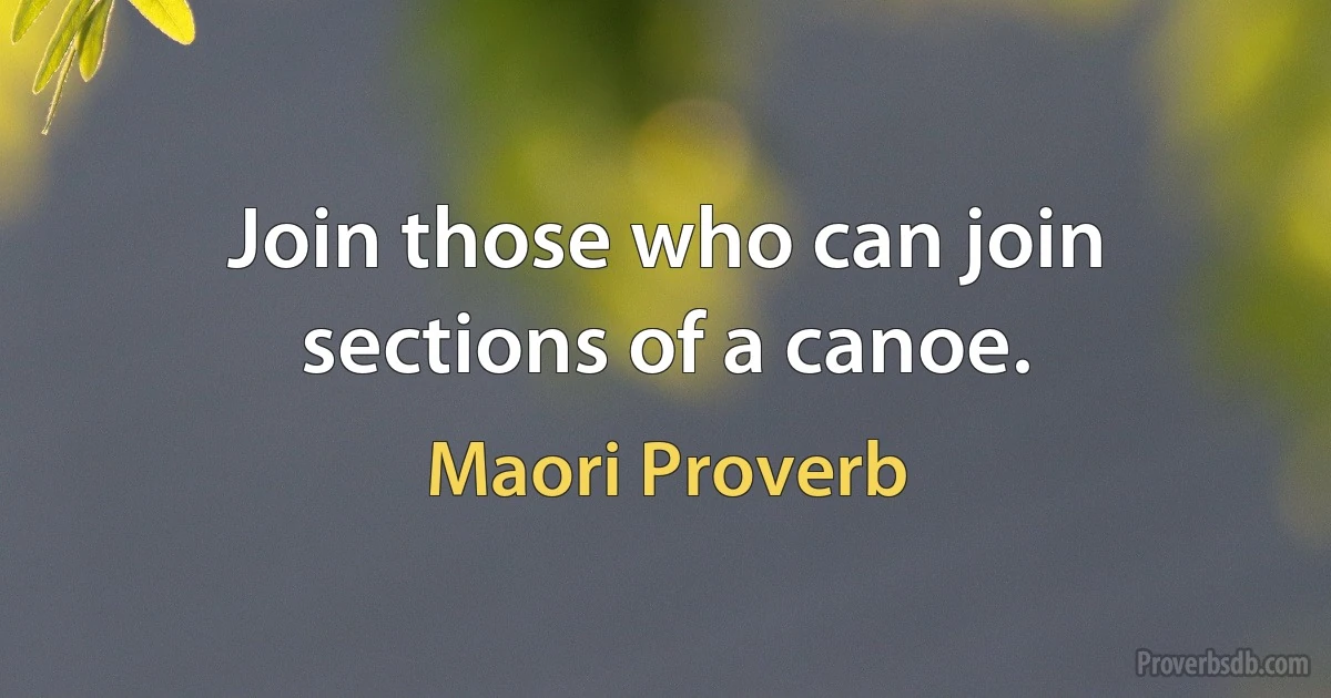 Join those who can join sections of a canoe. (Maori Proverb)