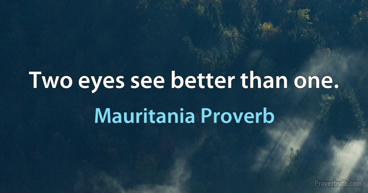 Two eyes see better than one. (Mauritania Proverb)