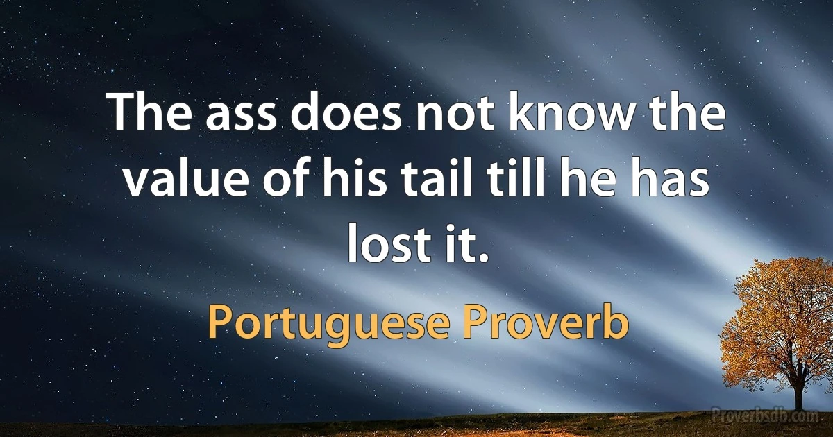 The ass does not know the value of his tail till he has lost it. (Portuguese Proverb)