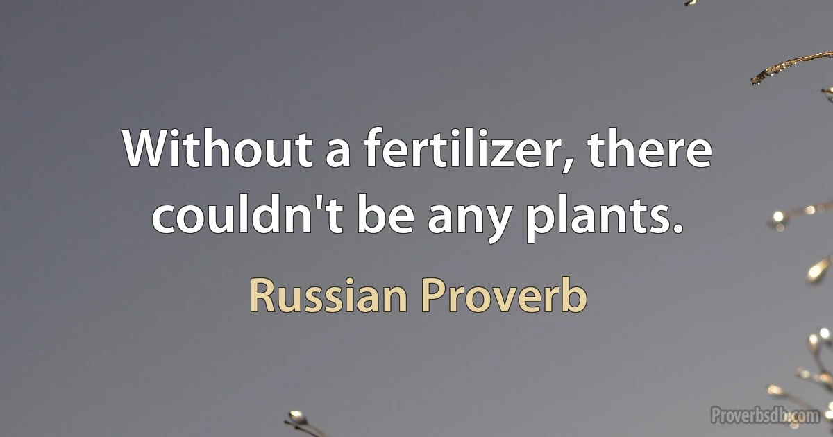 Without a fertilizer, there couldn't be any plants. (Russian Proverb)