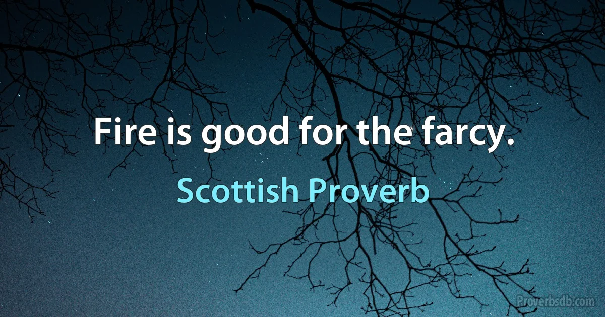 Fire is good for the farcy. (Scottish Proverb)