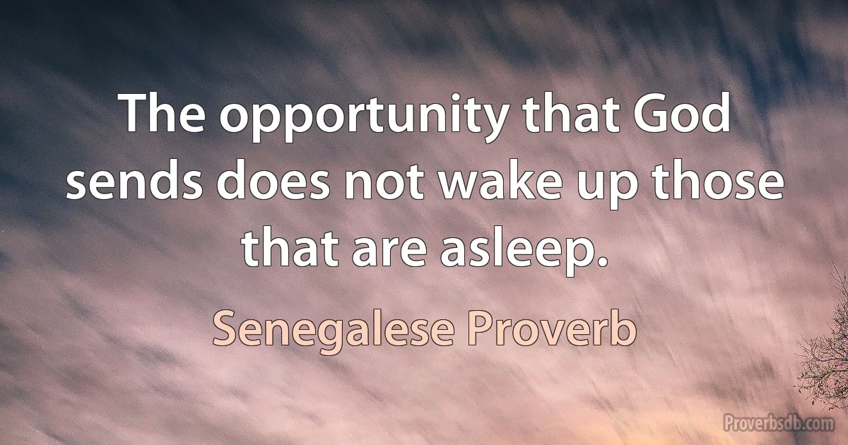 The opportunity that God sends does not wake up those that are asleep. (Senegalese Proverb)