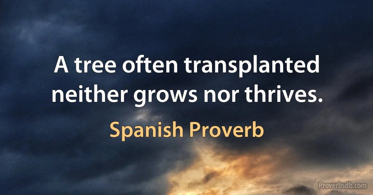 A tree often transplanted neither grows nor thrives. (Spanish Proverb)