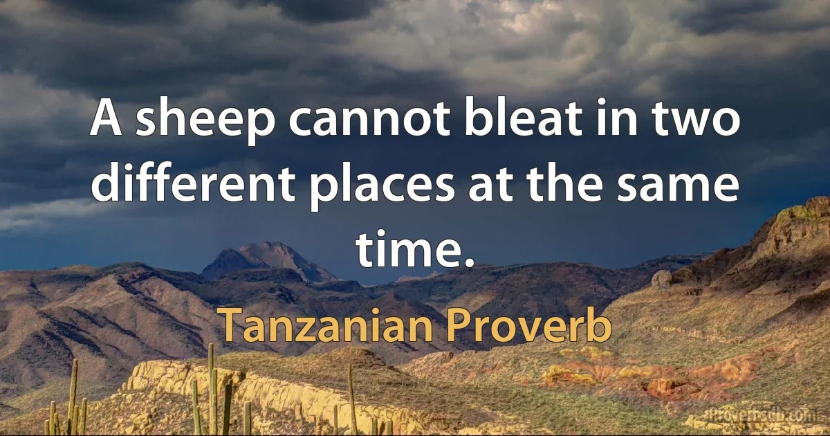 A sheep cannot bleat in two different places at the same time. (Tanzanian Proverb)