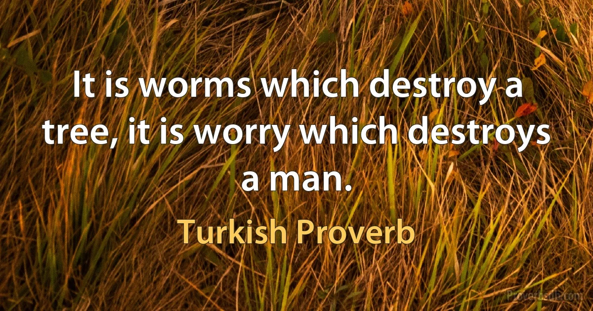 It is worms which destroy a tree, it is worry which destroys a man. (Turkish Proverb)