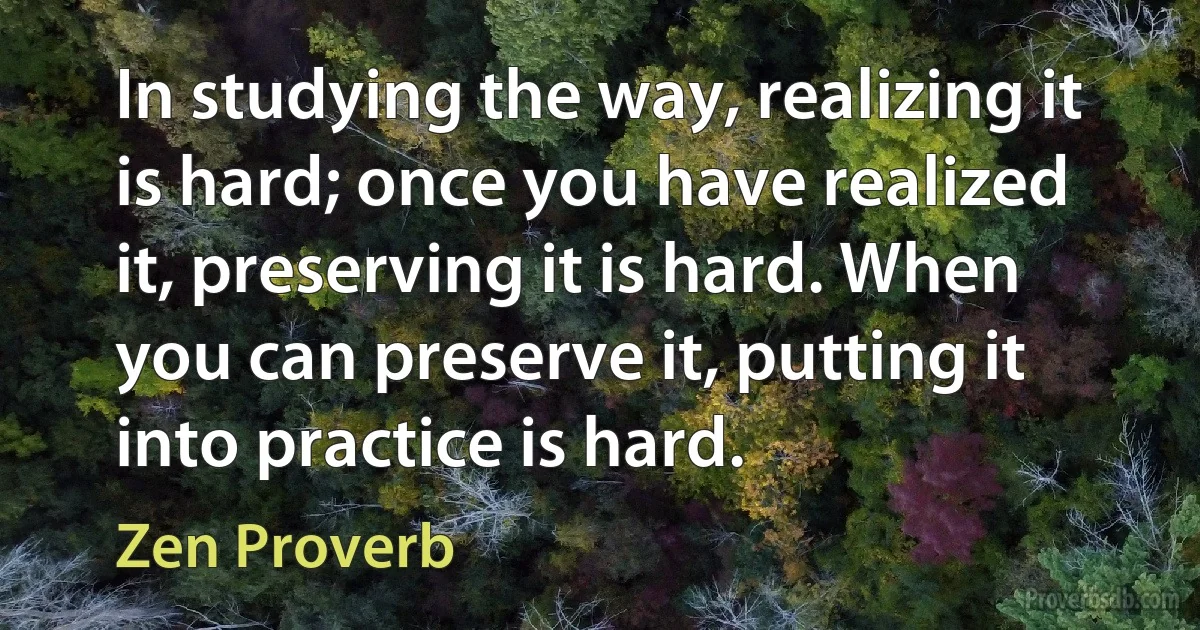 In studying the way, realizing it is hard; once you have realized it, preserving it is hard. When you can preserve it, putting it into practice is hard. (Zen Proverb)